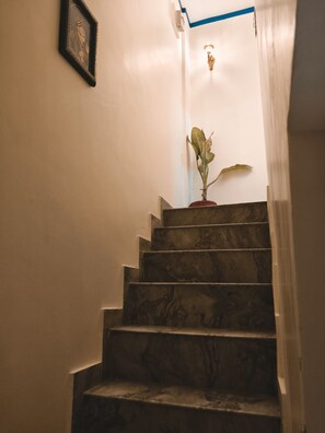 A staircase with a potted plant on the landing. - Veena Vihar (Full House) (Jodhpur)