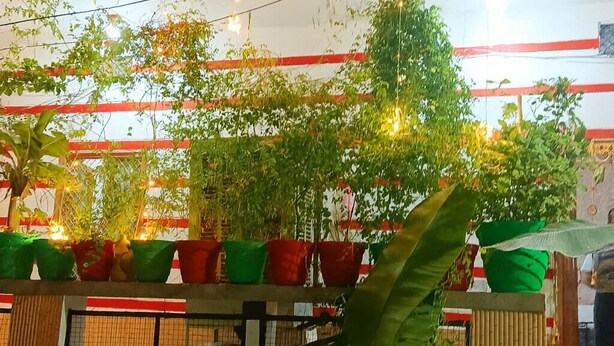 A building with a red and white facade, potted plants, and string lights.
