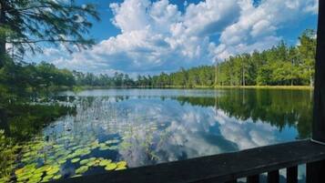 Overnatningsstedets område