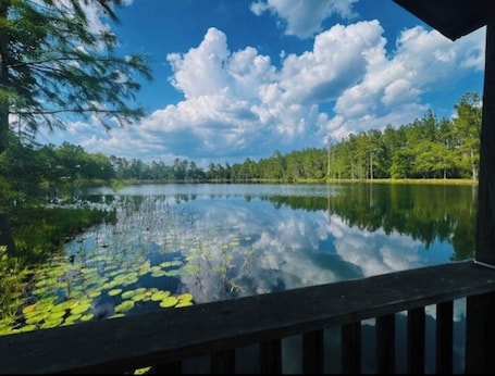 Property grounds. Railroad Retreat by the Lake