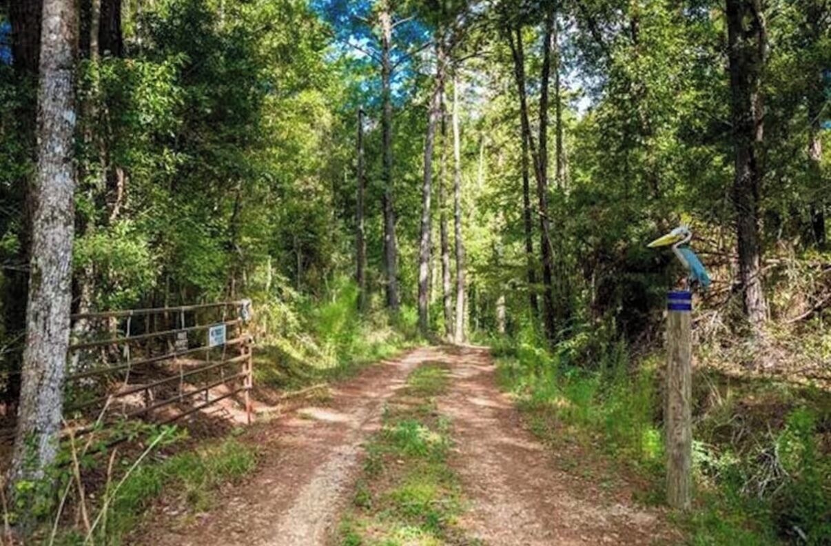 A forested trail with a metal gate and a signpost.