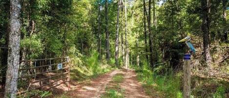 A forested trail with a metal gate and a signpost.