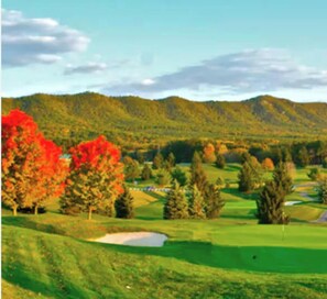 Golf - Newly Renovated! Hot Tub, Game room, Screened Deck in Massanutten Resort (McGaheysville)