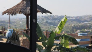 Un espacio al aire libre rústico con una estructura de techo de paja, una maceta azul grande y plantas de plátano.