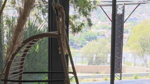 Una silla hamaca con vista a un paisaje urbano.