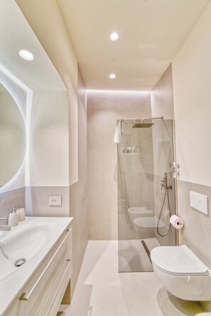 Shower, hair dryer, bidet, towels