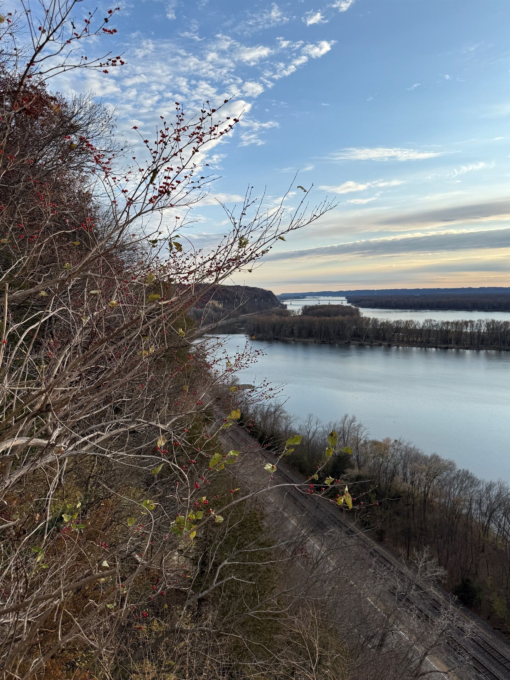 A river with a bridge in the distance, surrounded by trees and a clear sky.