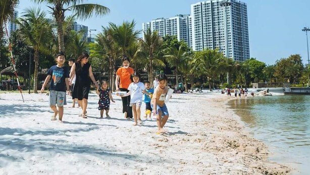 Een zandstrand met palmbomen en een wateroppervlak.