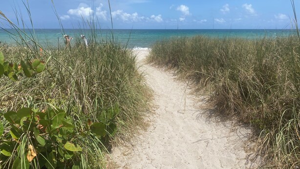 En sti gennem sand og græs fører ned til havet, omgivet af højt græs og vegetation.