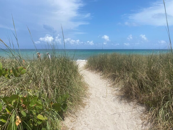 Beach - 2 miles from Hollywood beach and Downtown Hollywood (Hollywood)
