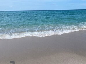 Beach - 2 miles from Hollywood beach and Downtown Hollywood (Hollywood)