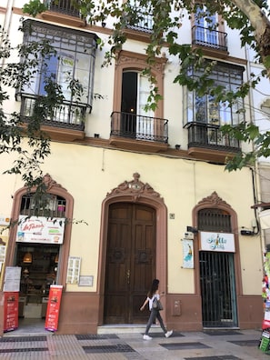 Exterior detail - The house of flowers (Sevilla)