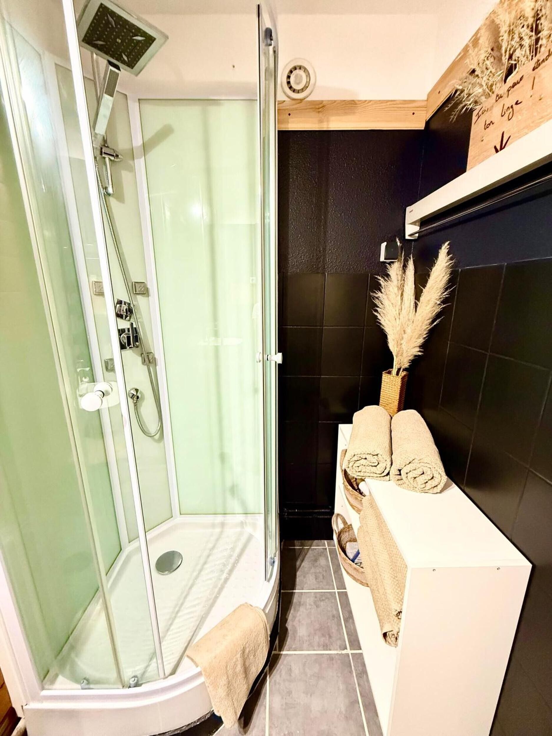 Ducha, secador de pelo y toallas