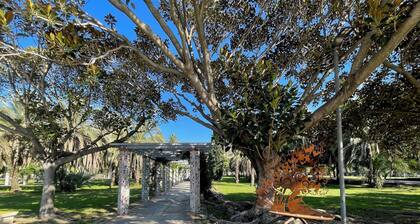 Oasi Verde in Salerno, Perfectly Connected to the Most Beautiful Destinations in Campania