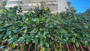 Un immeuble à plusieurs étages, doté de balcons, avec une haie verdoyante et dense au premier plan.