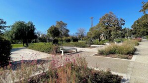Un parc avec un banc, des allées et différentes espèces de plantes.