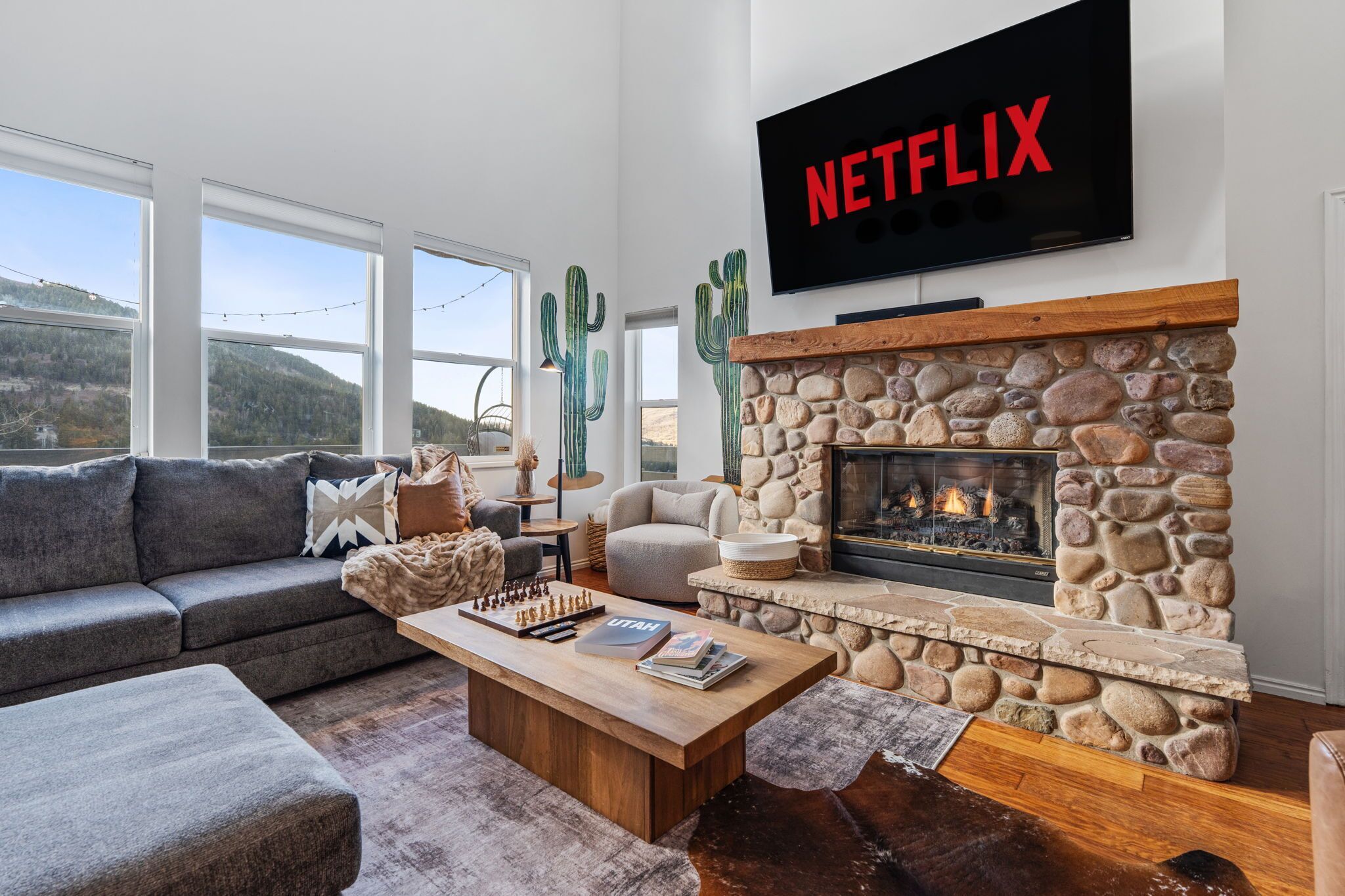 Smart TV, chimenea, videojuegos y libros 