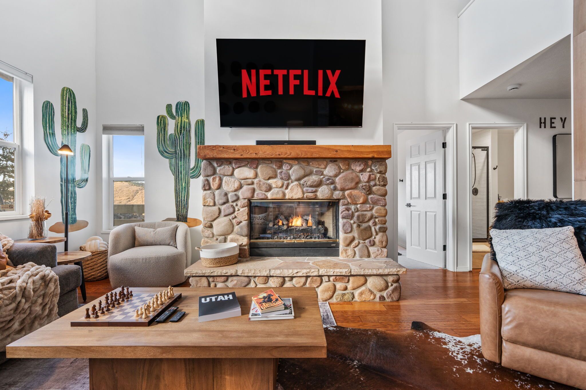 Smart TV, fireplace, video games, books