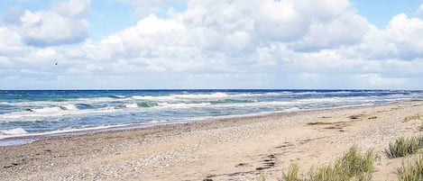 A beach with waves, pebbles, and sparse grass.