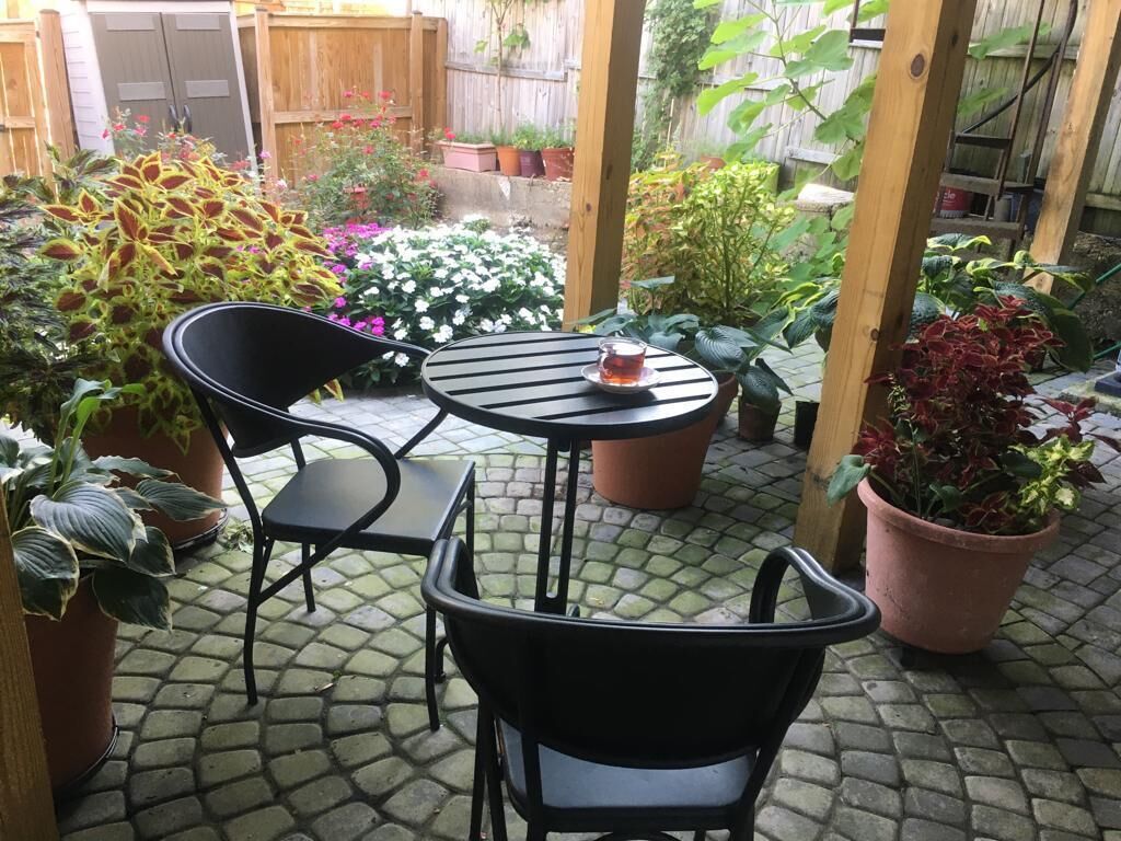 Restauration en plein air