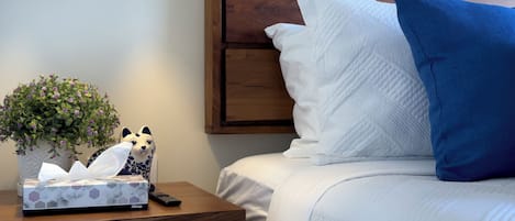 Appartement (1 Bedroom) | Intérieur