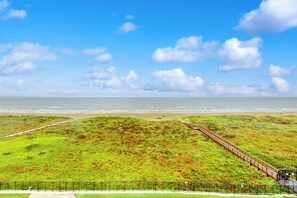 Ein Küstenblick mit einer Wiese, einem Pfad und einem Strand im Hintergrund.