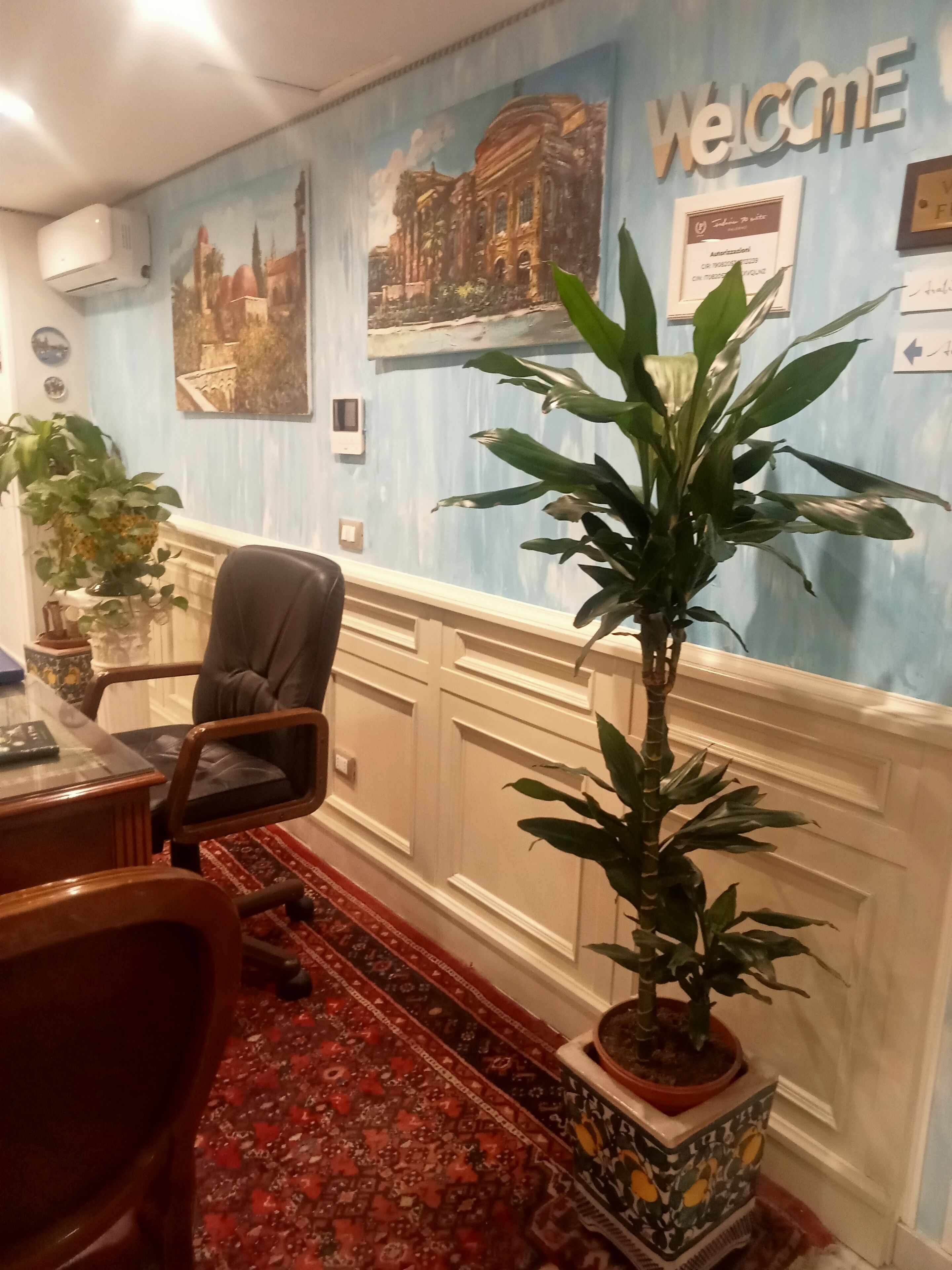 A reception area with a 'Welcome' sign, a potted plant, a desk, a chair, and a patterned rug.