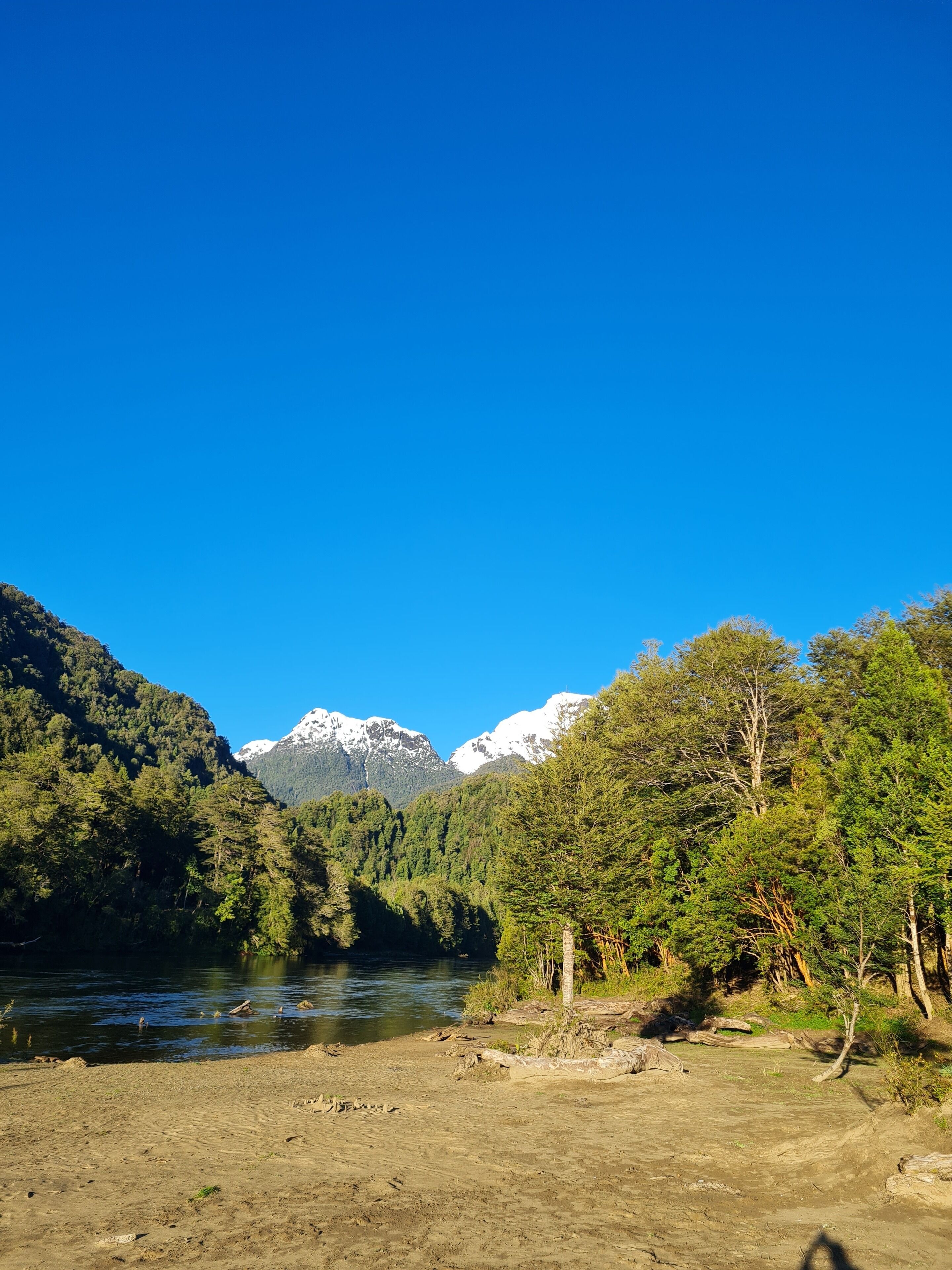 A river flowing through a forest with mountains in the background.