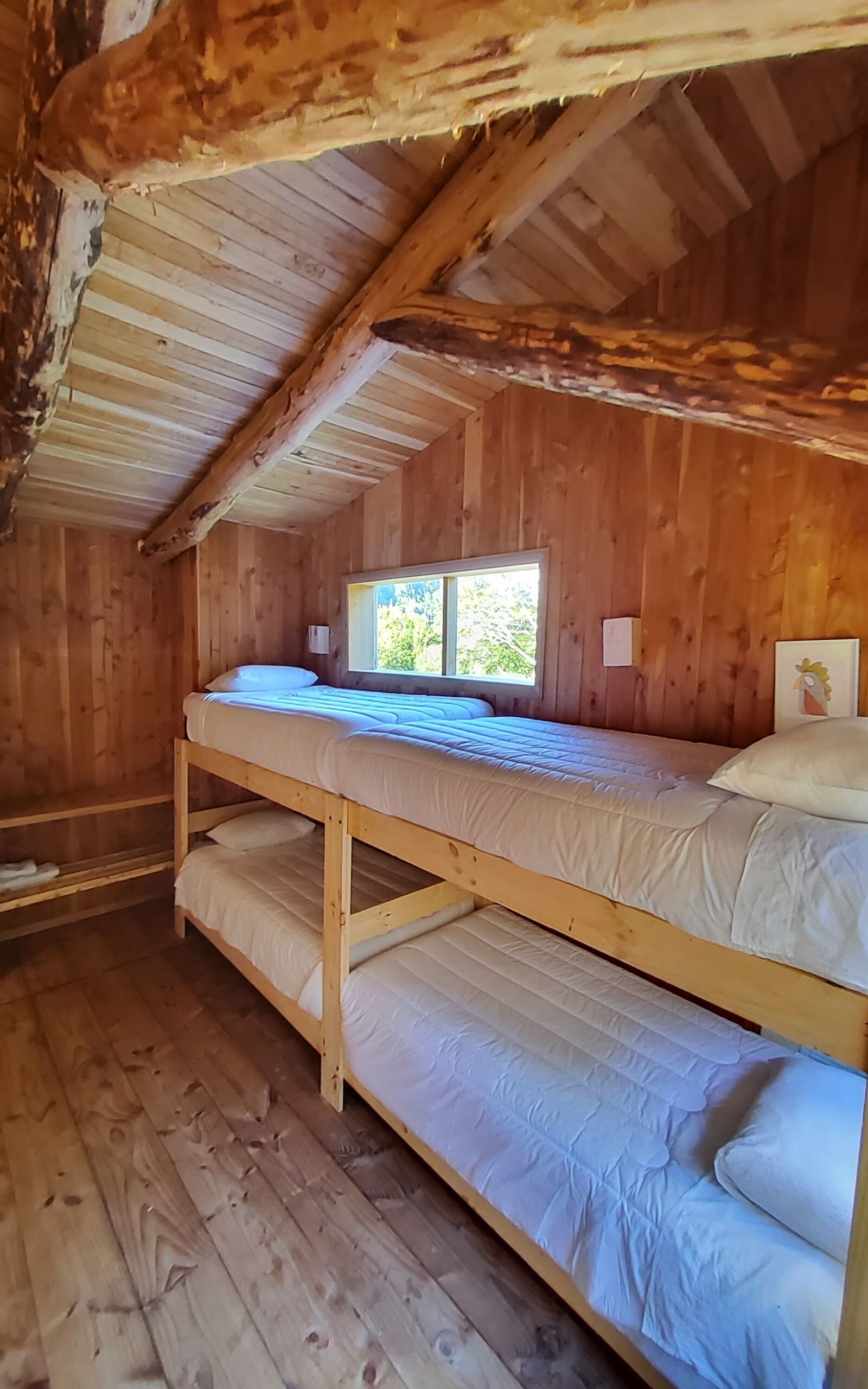 Una habitación tipo cabaña de madera con dos literas, una ventana y un cuadro enmarcado en la pared.
