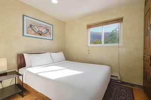 Iron/ironing board, WiFi, bed sheets - Mountain Base Retreat (Steamboat Springs)