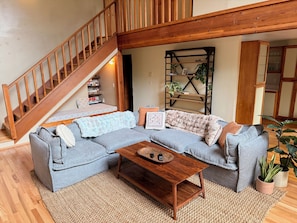 Smart TV, fireplace, books