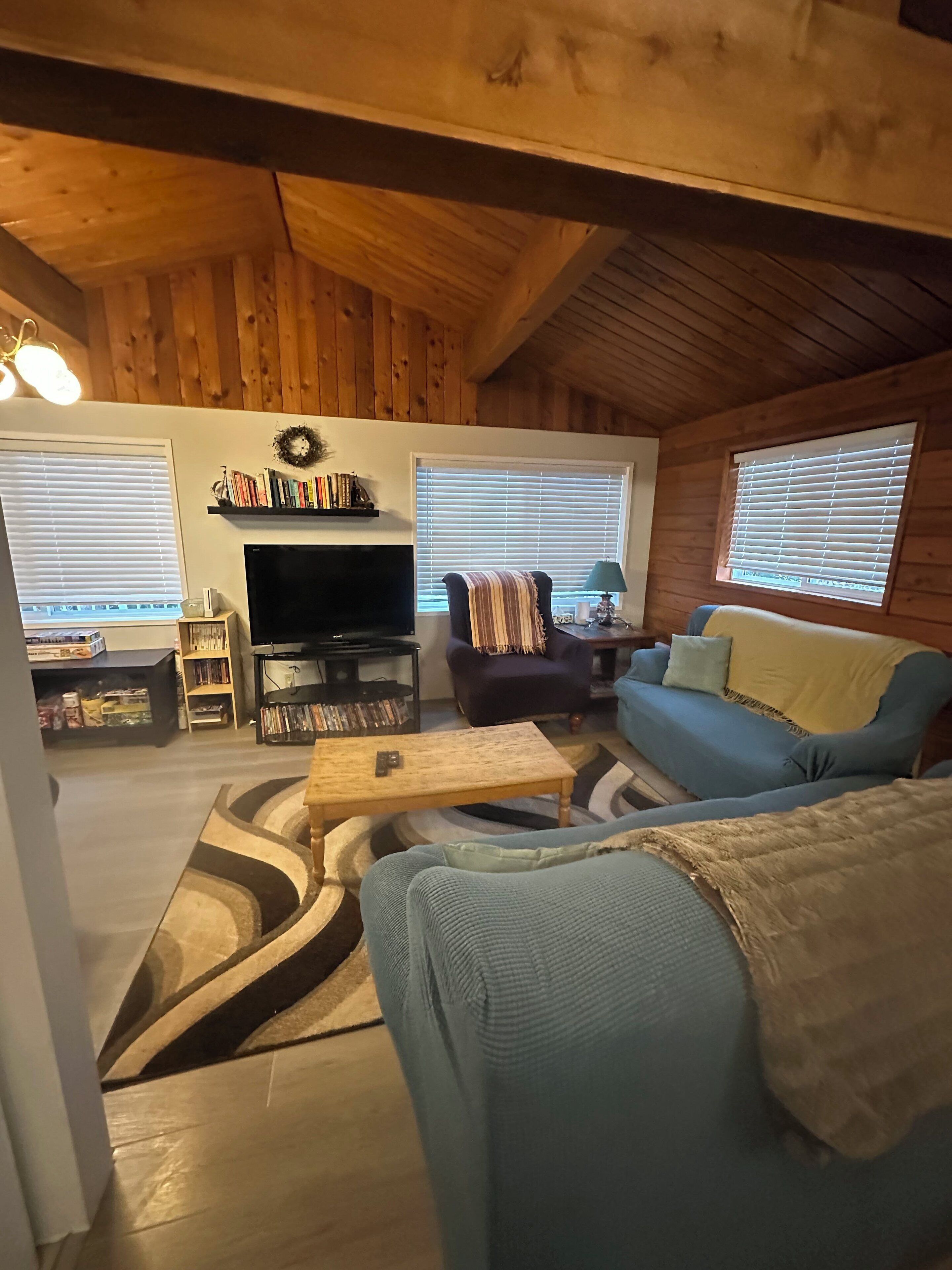 Télévision, cheminée, jeux vidéo, lecteur de DVD