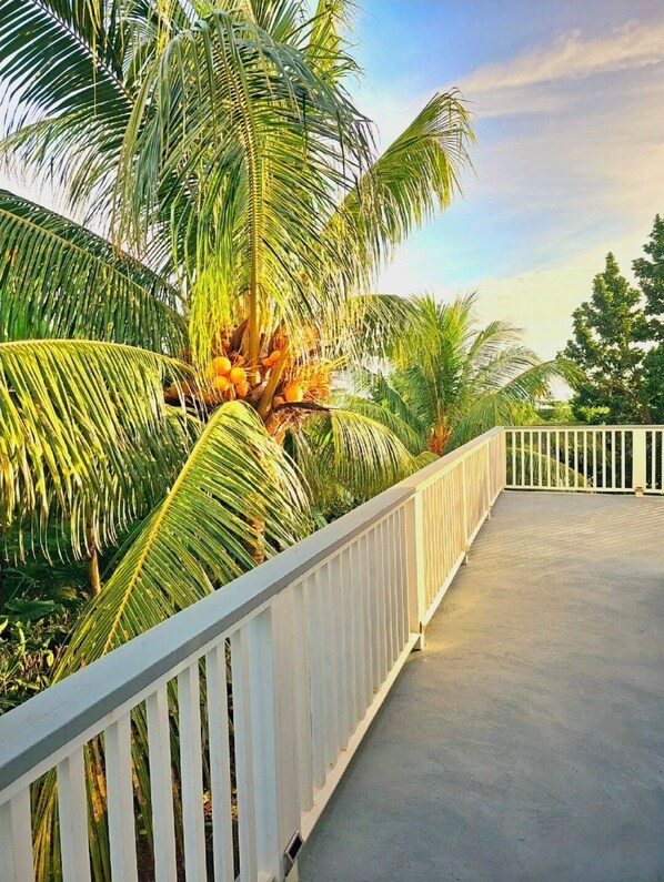 Property grounds - Entire rental unit in Calibishie, Dominica (Calibishie)