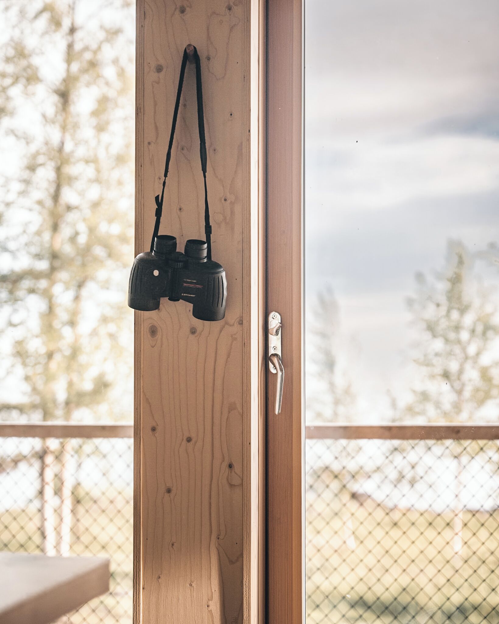 A wooden door with a camera hanging on the handle and a metal door lock.