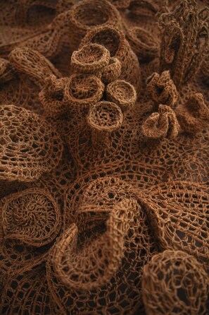 منطقة الاستقبال