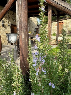 Exterior detail - Charming 5-bedroom farmhouse near Arezzo exceptional views and swimming pool. (Capolona)