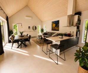 Eine moderne Küche mit einer zentralen Kochinsel, einem Essbereich mit großem Tisch und einem Wohnbereich mit einer Couch.