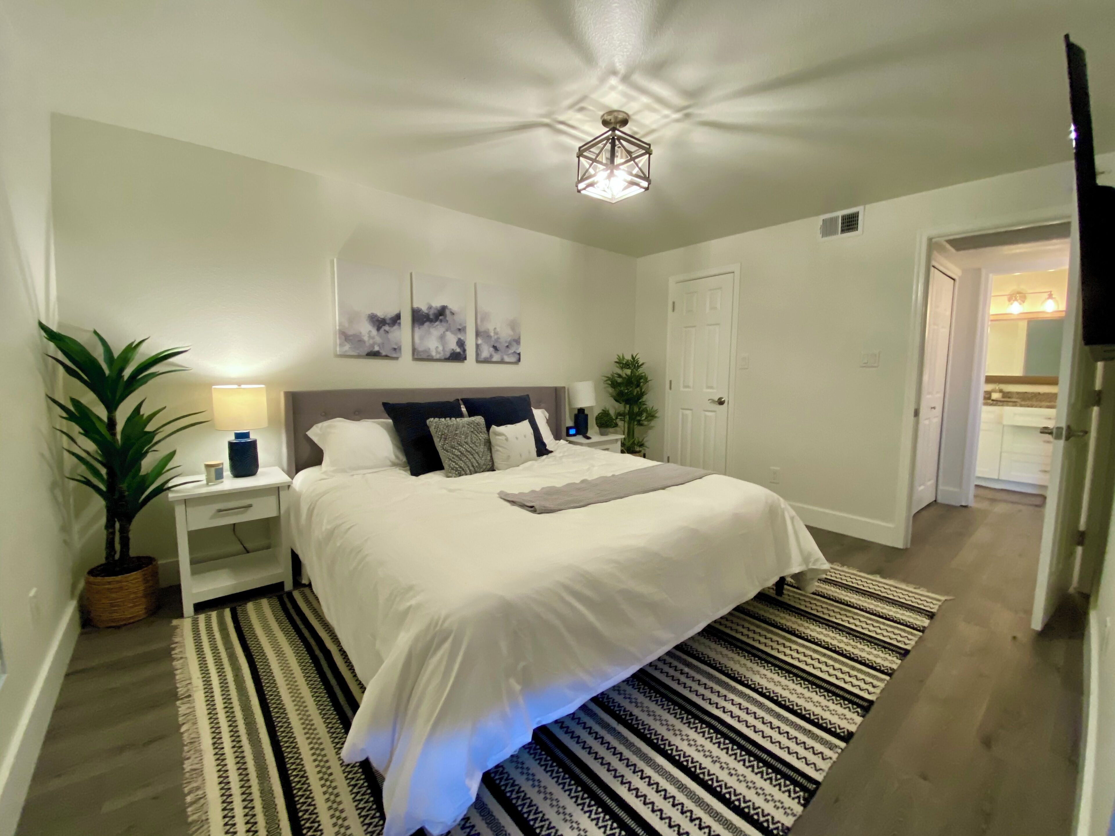 Un dormitorio con cama, mesitas de noche, lámpara, planta en maceta y lámpara en el techo.