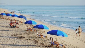 Une plage bordée de rangées de parasols bleus et de chaises de plage.