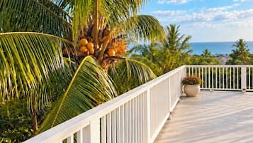 Un balcone con ringhiera bianca, vasi di fiori e vista sull'oceano.