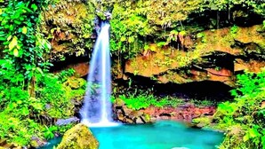 Una cascada se precipita en una poza cristalina rodeada de exuberante follaje y rocas.