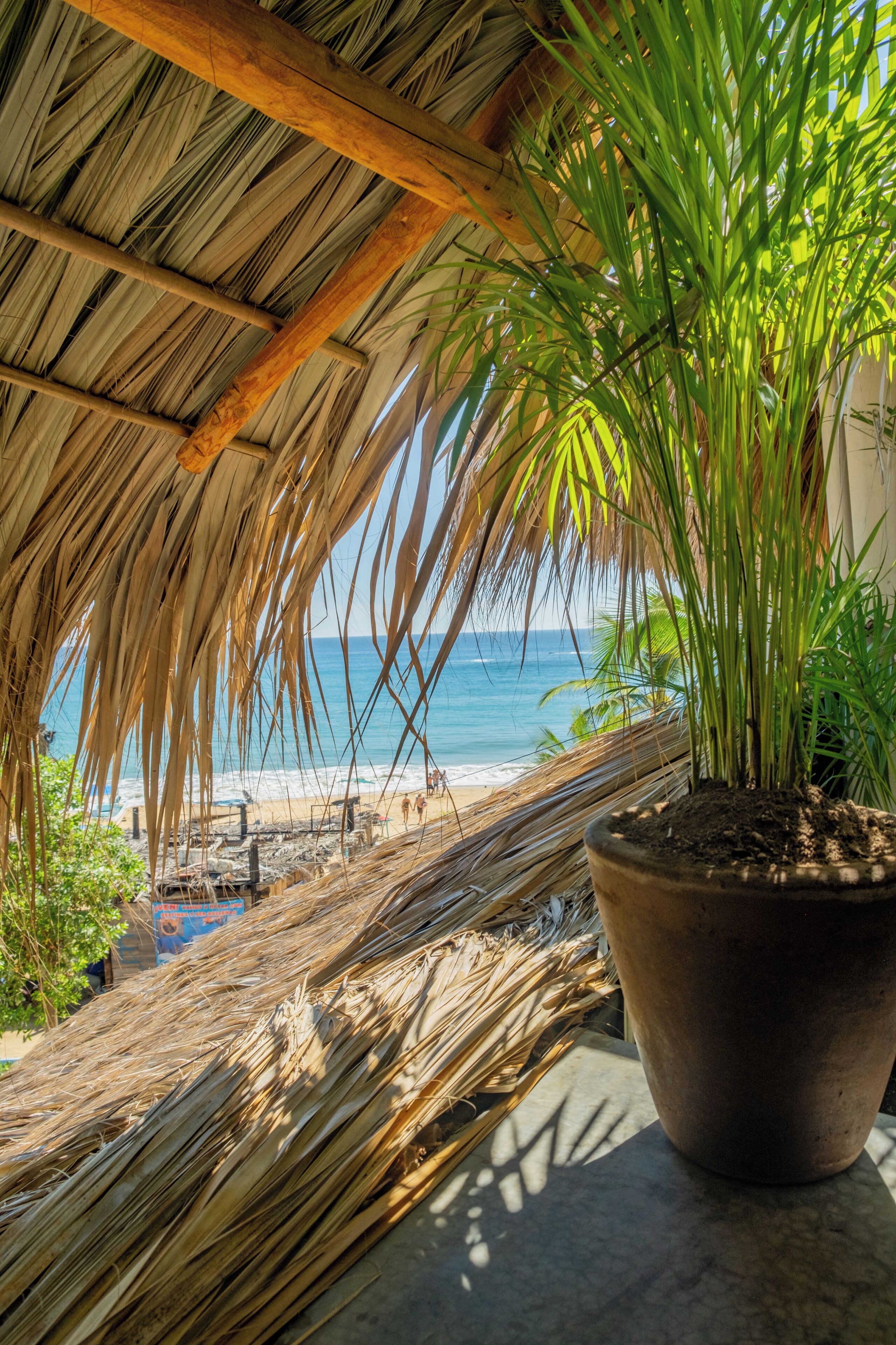 Habitación Fugaz (Habitación junior con  vista al mar) | Vista a la playa o el mar
