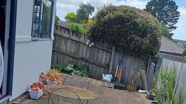 A paved backyard with a metal chair, potted plants, and a wooden fence. - Located 5 mins drive from the town.  Pets are not allowed. (Te Awamutu)