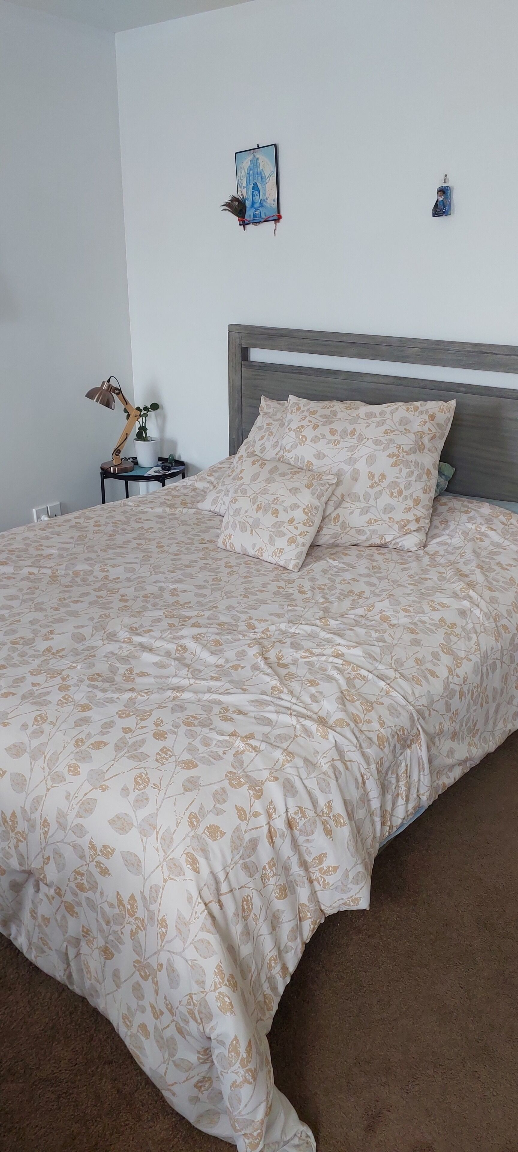 1 chambre, accès Internet