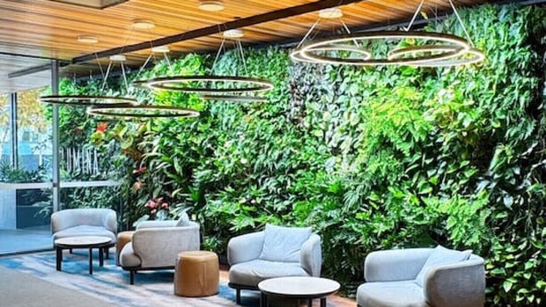 A modern lobby with a green wall, seating area, and wooden ceiling. - Amazing Views - 2BD 2BA Homey Toowong Abode + Pool (Toowong)