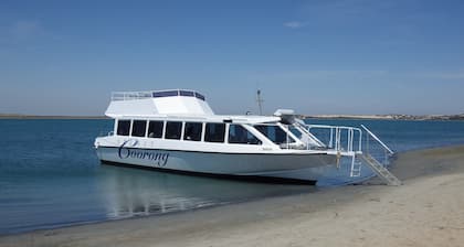 Itildous Family & Dog Friendly Holiday House at Goolwa South