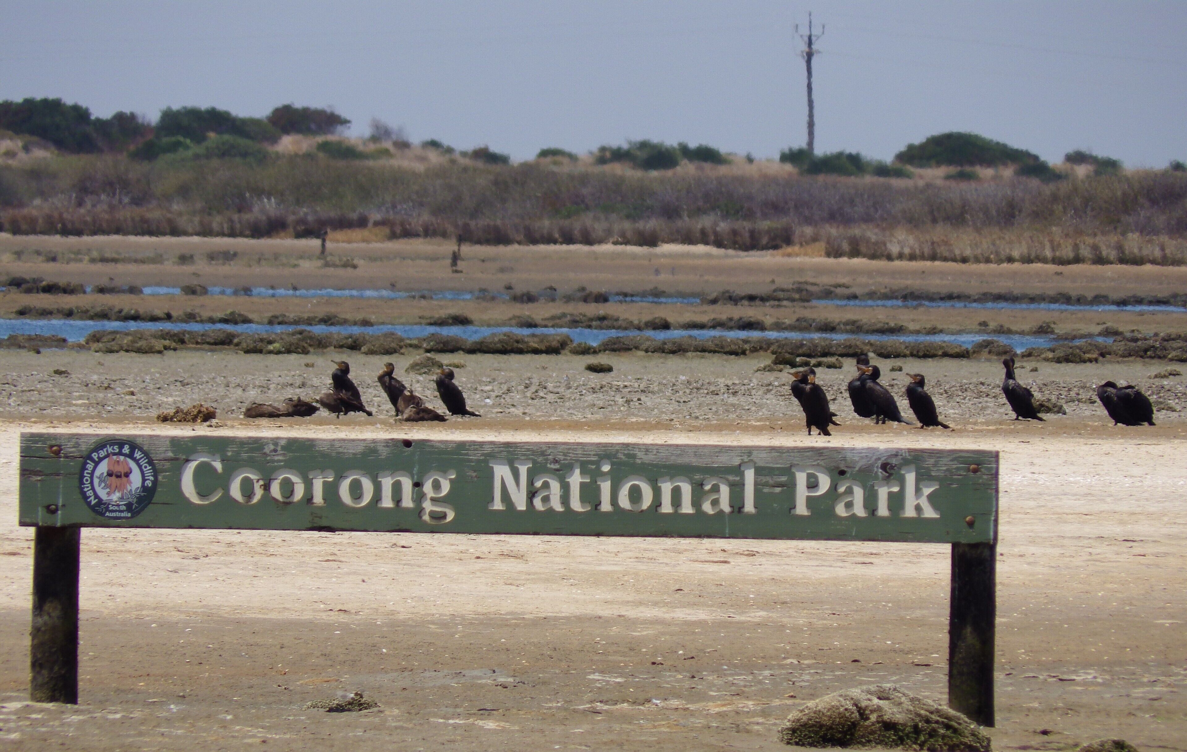 A sign for Coorong National Park with a sandy landscape and birds in the background.