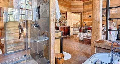 Hot Tub & Mtn Views: Woodsy Cabin in Greer
