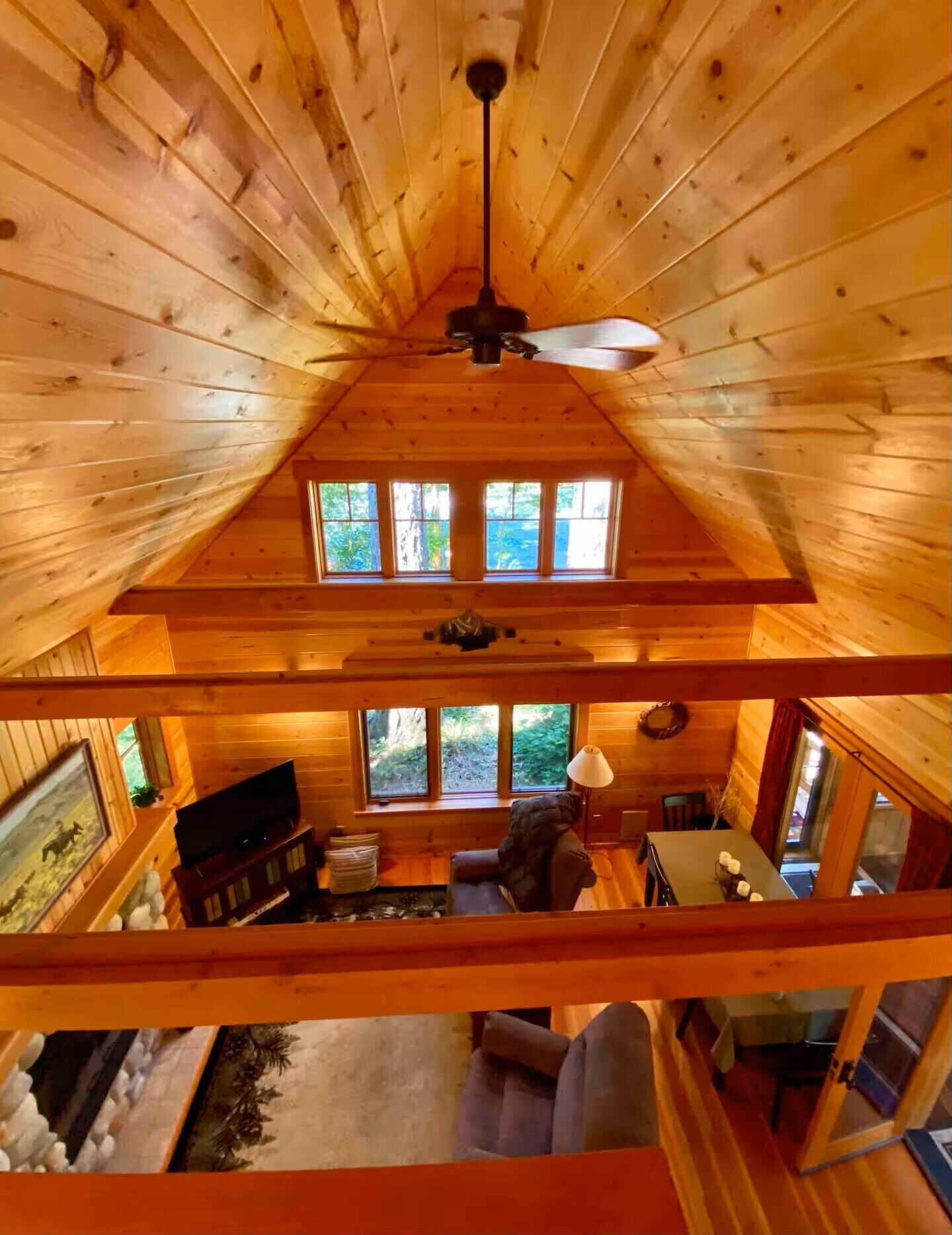 Älytelevisio, kirjoja