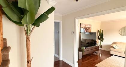 Cozy Room: Nature, & City Life